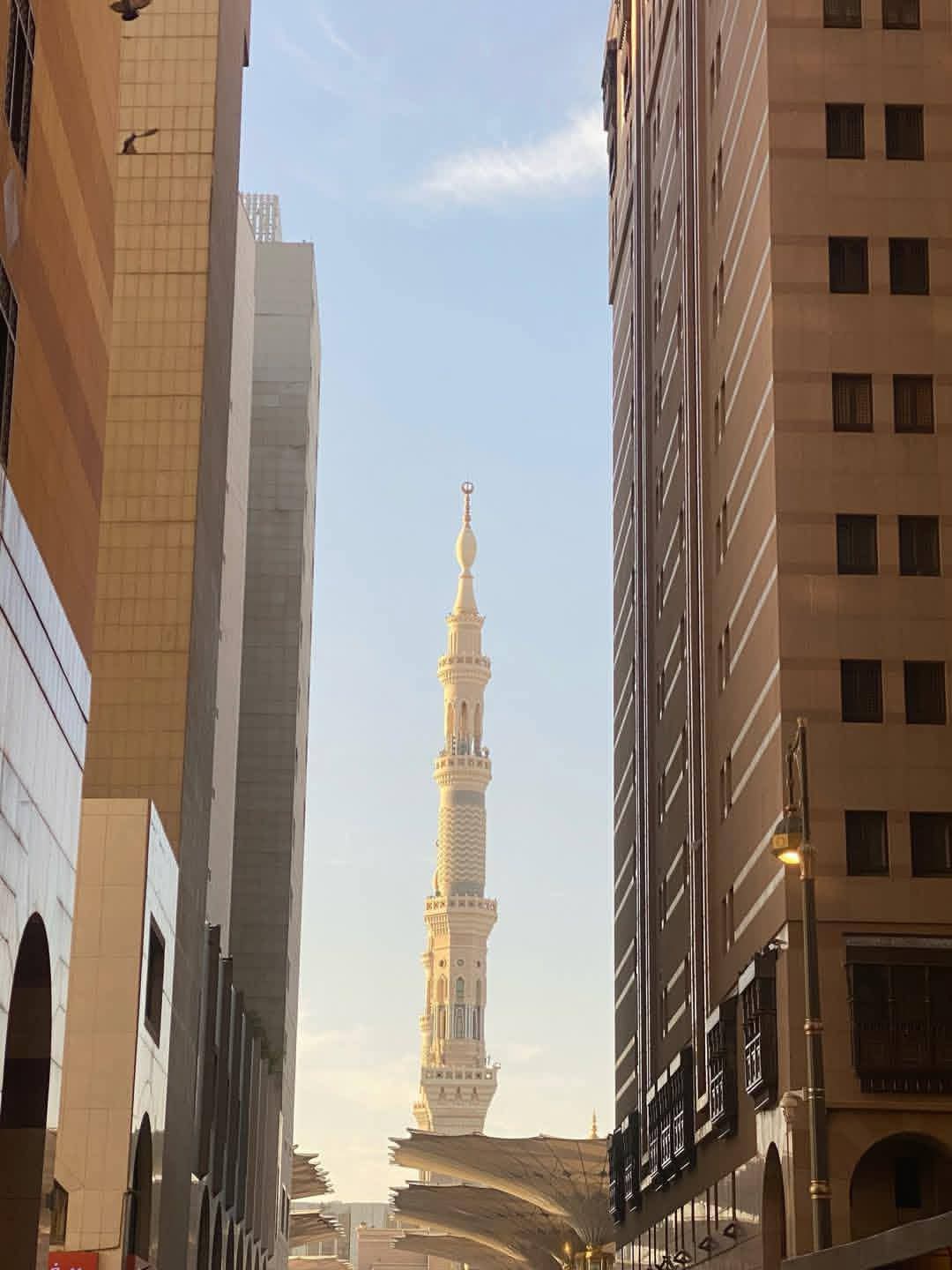 R.Salaf Tour & Travel